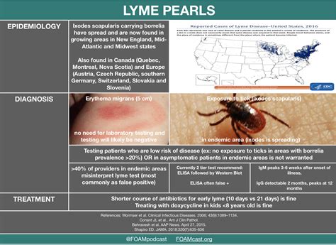 Lyme Disease Pearls Epidemiology Ixodes Scapularis Grepmed