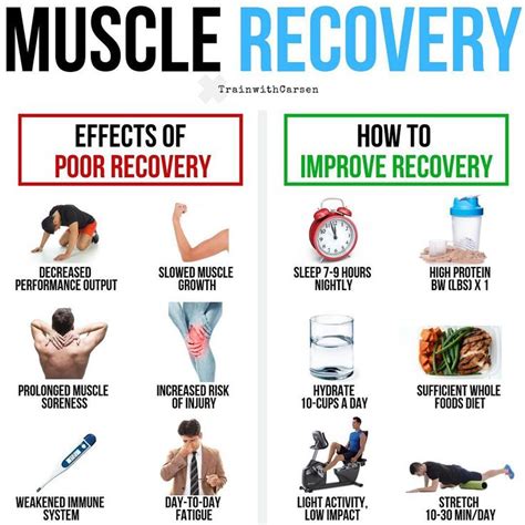 Muscle Recovery ⁣hitting The Weights Is Half The Battle The Other Half Is Recovery ️if You Are