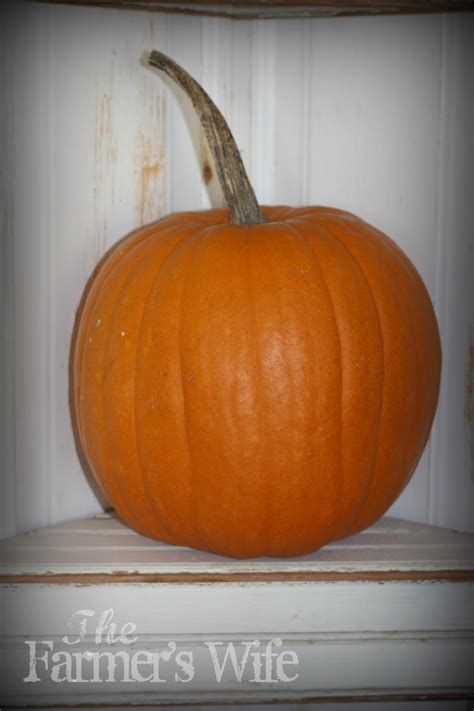 Maybe you would like to learn more about one of these? The Farmer's Wife: Cooking Pumpkin In the Oven