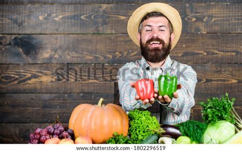 Man Mature Bearded Farmer Hold Vegetables Stock Photo 1802296519