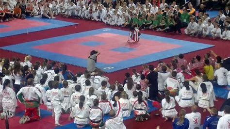 Taekwondo World Championships In Coventry England 2013 Youtube
