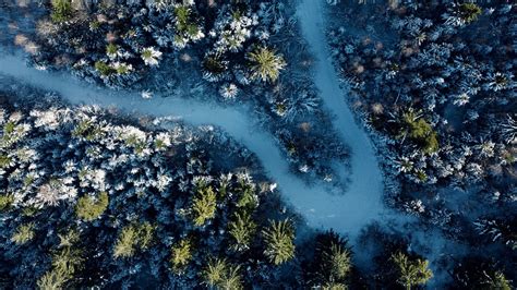 Aerial View Of Road Between Trees Covered Forest Hd Nature Wallpapers
