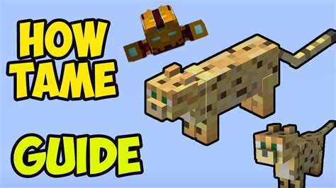 Minecraft 1206 How To Tame An Ocelot 2024 Full Guide Youtube