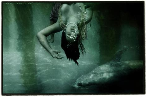 A Nude Female And A Sea Lion Underwater Photograph By Simon O Dwyer