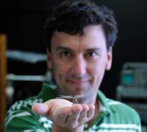 Dragonflies Have Human Like Selective Attention Dec 20 2012 In A