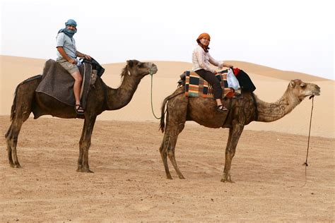 Camel Riders Camel Trekking In The Sahara Desert Near Mer Flickr