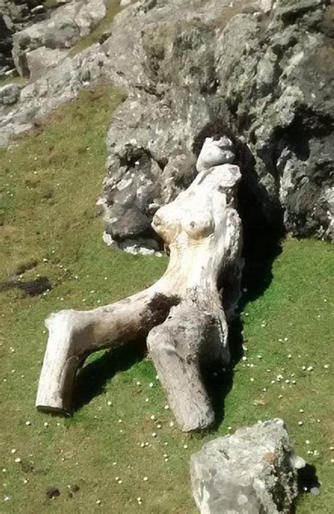 Colonsay Scotland Hikers Find Driftwood Shaped Like Naked Woman