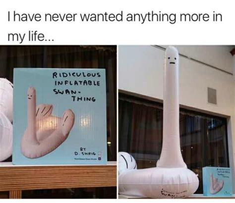I Have Never Wanted Anything More In My Life Ripicvious Inflatable I Swan Thing Ifunny Brazil
