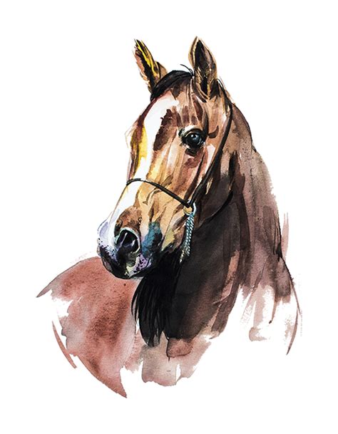 Horse Watercolor Painting Horse Png And Horse Clipart Transparent