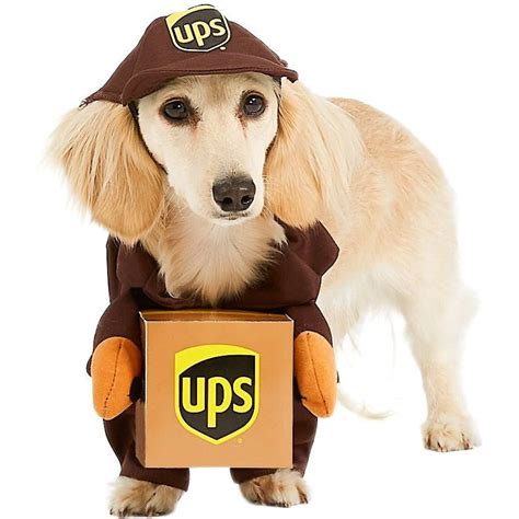 45 Best Dog Halloween Costumes Funny And Cute Dog Costume Ideas