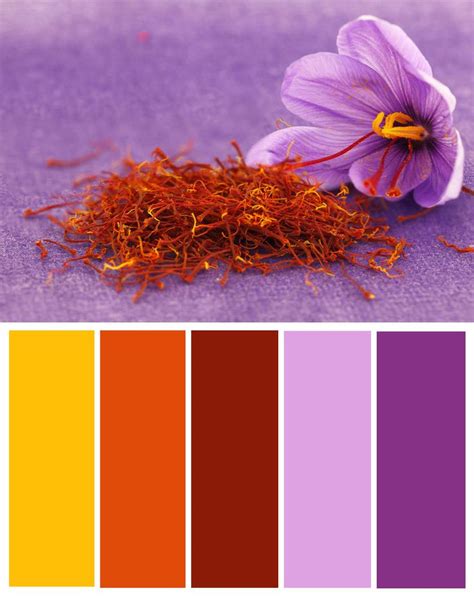 Saffron Color Palette Orange Color Schemes Purple Color Palettes