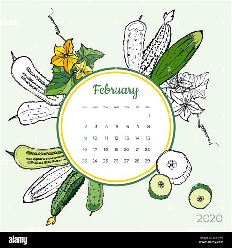 2020 February Calendar Vegetable Green Cucumber Groceries Art Vector Set Desk Screen