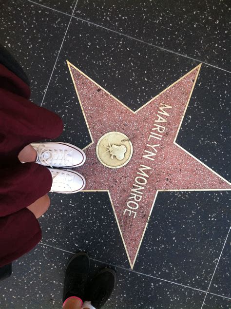 Pin by plang on my stylee | Hollywood walk of fame star, Hollywood walk of fame, Walk of fame