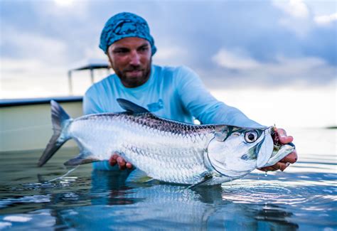 5 Tips for Landing Your First Tarpon - Flylords Mag