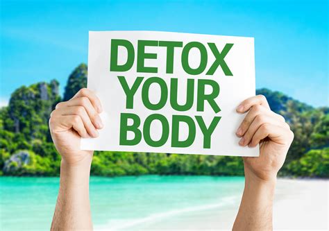 Choosing A Healthy Natural Body Detox Program Nature Detox