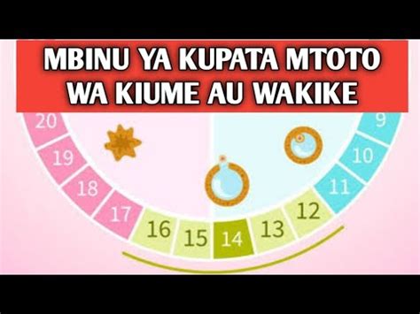 Siku Ya Kushika Mimba Mbinu Ya Kupata Mtoto Wa Kiume Au Wakike Youtube