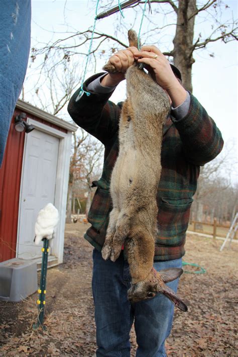 Ax To Table Killing A Rabbit Isnt Easy The Feed