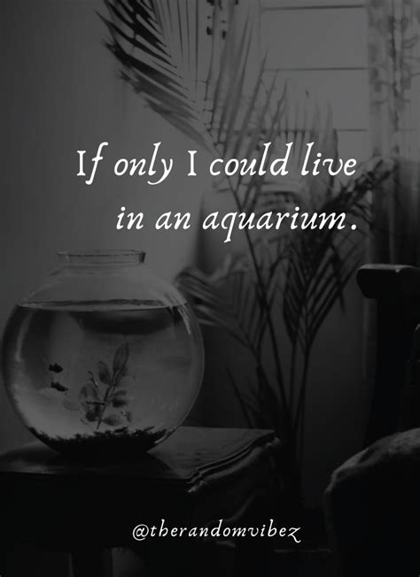If you are looking for who can make you a freshwater aquarium or marine aquarium, but also a simple glass tub of any size contact aquarium in the house. Top 40 Aquarium Quotes And Captions For Your Fish Love