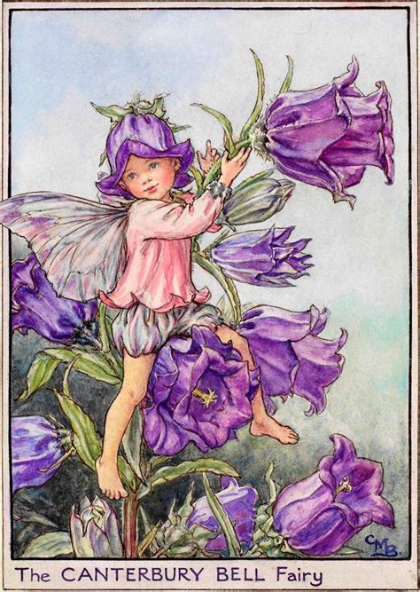 About this piece this print is reproduced from a vintage postcard. Canterbury Bell | Fairy art, Vintage fairies, Fairy pictures