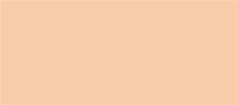 Please be respectful to other users. HEX color #F9CCA9, Color name: Peach, RGB(249,204,169 ...
