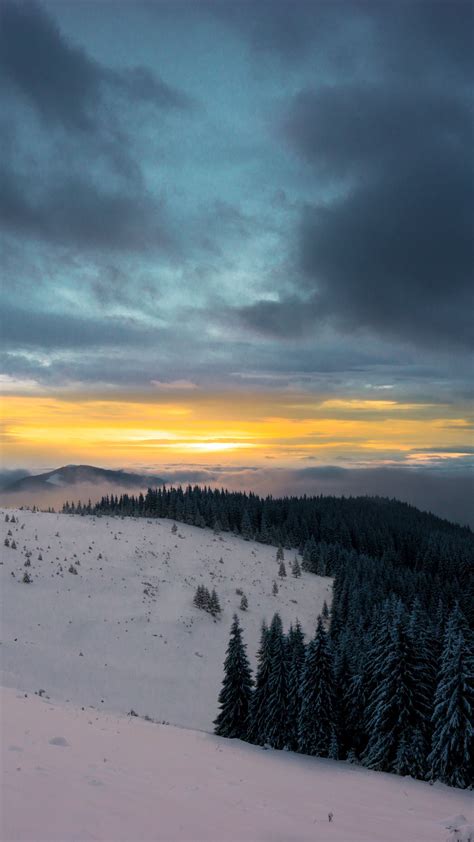 Download Wallpaper 1350x2400 Winter Mountains Forest Snow Sunset