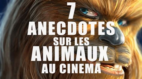 Cinémercredi 7 Anecdotes Sur Les Animaux Au Cinéma Youtube