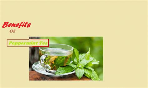 Tea bags, loose leaf tea, and blends are all here. Best Health Benefits of Peppermint Tea for your health