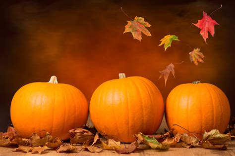 Three Pumpkins With Fall Leaves With Seasonal Background Rizzos