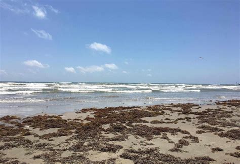 12 Spectacular Beaches To Visit In Brownsville Texas Touristsecrets