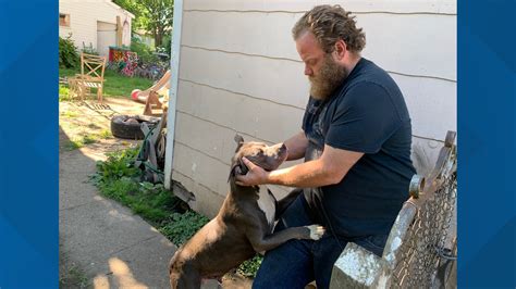 Caught On Camera Indy Residents Want Action After Violent Dog Attacks