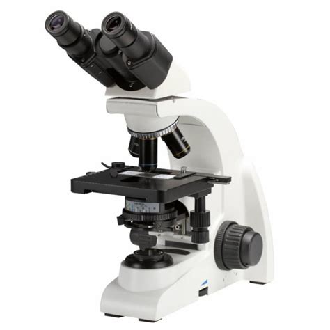 Binocular Microscope Neolab 4x 10x 40x 100x