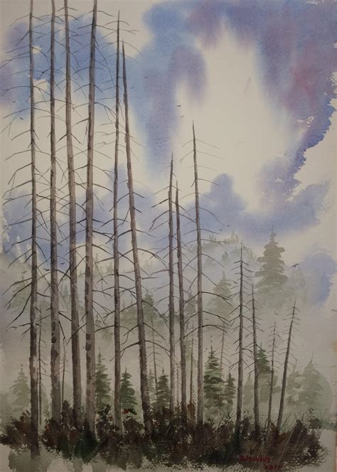 The Old Wood Watercolor 9x12 Arches 140 Paper Rwatercolor