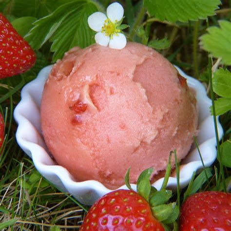 Erdbeer Eiscreme - 1fachclever