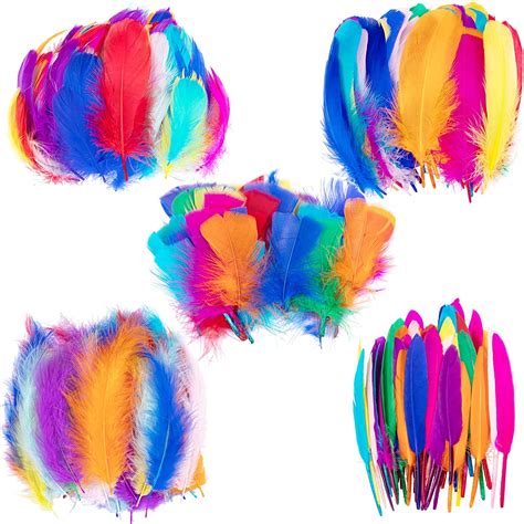 Whaline Colorful Feather 300pcs 5 Styles Craft Feather 10 Colors Goose