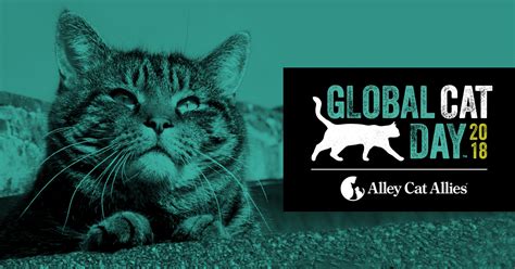Otherwise known as global cat day! Be an Advocate for Cats | Global Cat Day 2019 | Alley Cat ...