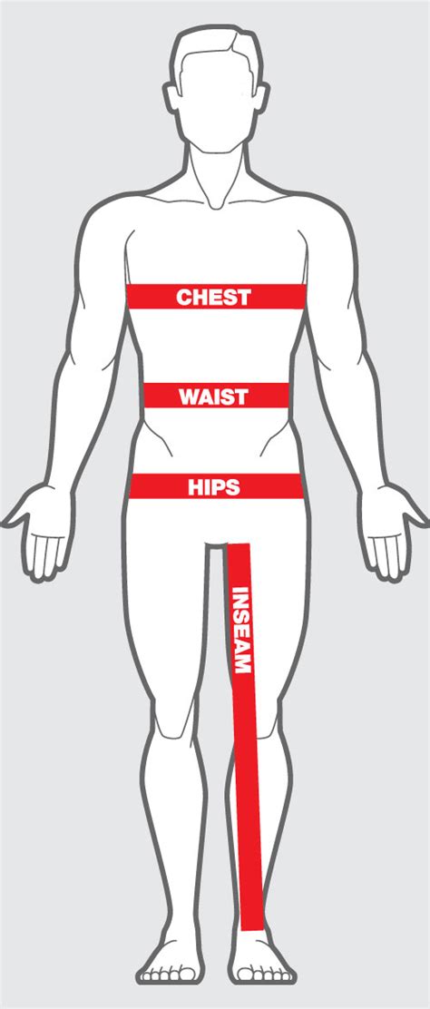 What is the average hip to waist ratio? Size Chart | Chefwear