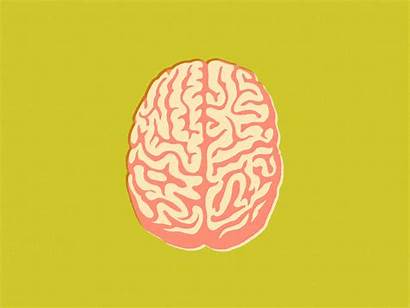 Brain Elon Improve Wired Alzheimer Musk Memory