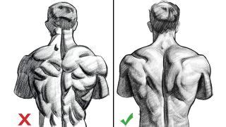 Muscles of the back can be divided into superficial, intermediate, and deep group.since the all the back muscles originate in embryo (fetus) form by locations other than the back, muscles in the. 20 phenomenally realistic pencil drawings | Creative Bloq