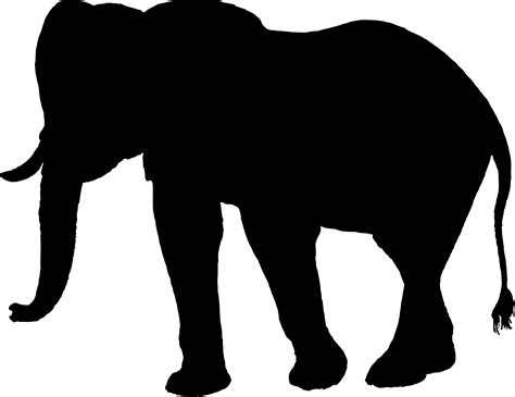 African Elephant Elephantidae Silhouette Clip Art Silhouette Png