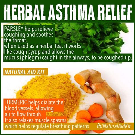 Herbal Asthma Relief Parsley And Turmeric Asthma Cure Asthma Relief Natural Asthma Remedies