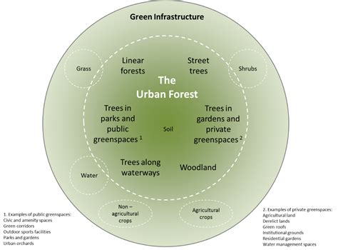 Are All Urban Forests Equally Beneficial Institute Of Chartered
