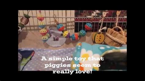 How To Make Homemade Guinea Pig Chew Toys Wow Blog