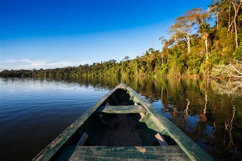 Things To Do In Perus Amazon Rainforest All You Need To Know