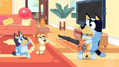 Bluey How Australia Fell In Love With A Cartoon Blue Heeler Puppy And