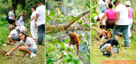 Planting Trees To Save The Titi Monkeys In Costa Rica