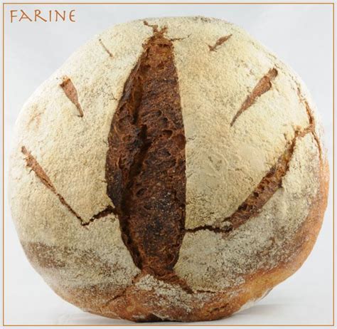 Hearty barley fruit bread cookstr com. Barley Bread | Barley bread recipe, How to make bread ...