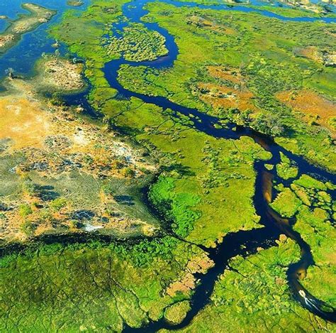 The Okavango Delta In Botswana Is A Very Large Inland Delta Formed