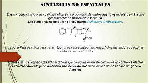 Cienciasiteipa2011 Sustancias Esenciales Y No Esenciales