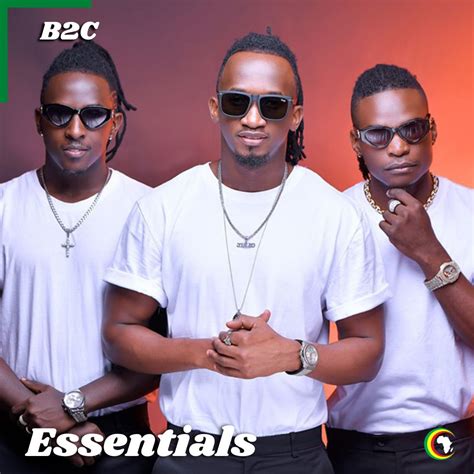 B2c Essentials Playlist Afrocharts