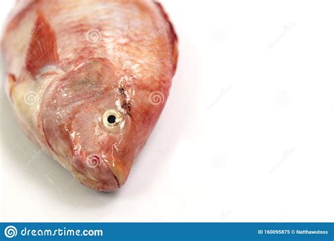 Close Up Fresh Raw Fishred Tilapianile Tiapia And X28oreochromis